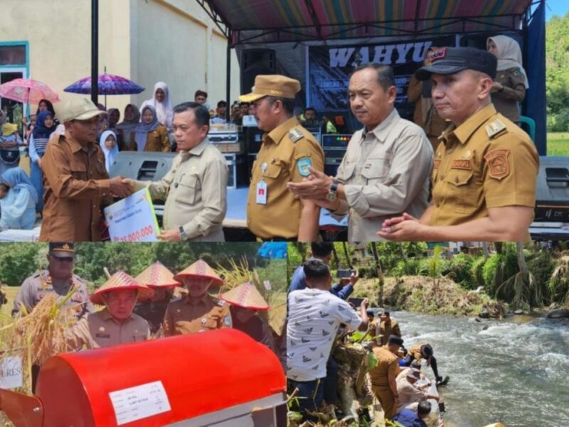 Gubernur Jambi Menghadiri Panen Raya di Kerinci 