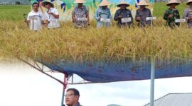 Pemerintah Kota Sungai Penuh bersama Bank Indonesia menggelar acara GNPIP