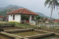 Salah Satu Contoh Balai Benih Holtikultura dan Ikan. (Dok Net)