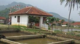 Salah Satu Contoh Balai Benih Holtikultura dan Ikan. (Dok Net)