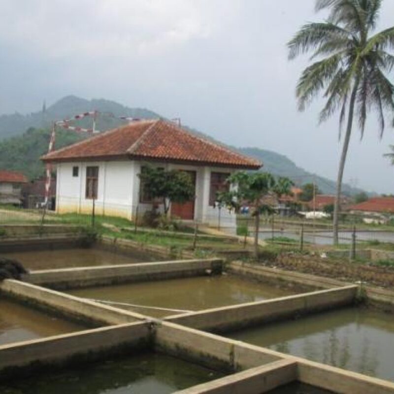 Salah Satu Contoh Balai Benih Holtikultura dan Ikan. (Dok Net)