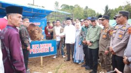 Penyerahan Sapi Qurban Bantuan Presiden RI Secara Simbolis Oleh Bupati Kerinci