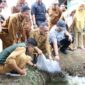 Walikota Sungai Penuh, Alfin, menyerahkan benih lele dan pakan kepada anggota Pokdakan di Desa Simpang Tiga.