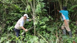 Wali Kota Sungai Penuh Alfin ikut serta bersama warga membersihkan kawasan eks Terminal Kumun, Jumat (24/10).