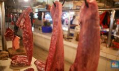 Perbandingan Kolesterol Daging Kambing dan Sapi Sehat