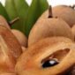 Buah sawo mengandung serat, vitamin, dan antioksidan yang baik untuk kesehatan tubuh.