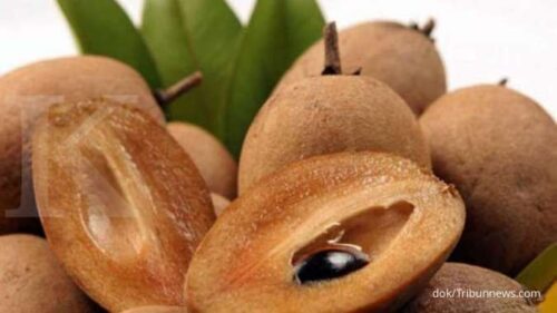 Buah sawo mengandung serat, vitamin, dan antioksidan yang baik untuk kesehatan tubuh.