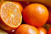 Berbagai buah kaya serat dan antioksidan yang membantu menjaga kadar kolesterol tetap sehat.