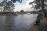 Pengunjung menikmati suasana Ayi Tafsut dengan aliran air jernih di tengah perkebunan teh Kayu Aro saat libur Lebaran.