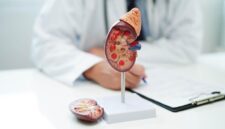 Ilustrasi ginjal manusia yang berperan menyaring darah dan memproduksi hormon penting bagi tubuh.