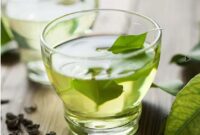 Teh hijau kaya antioksidan yang membantu meningkatkan metabolisme dan pembakaran lemak