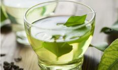 Teh Hijau Ampuh Membantu Menurunkan Berat Badan Alami