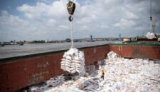 Pekerja memindahkan komoditas pangan impor di pelabuhan sebagai bagian dari distribusi nasional di tengah kebijakan pengetatan impor oleh Kemendag.