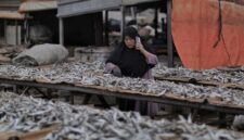 Ikan asin menjadi lauk favorit masyarakat, namun tetap perlu dikonsumsi secara bijak karena kandungan garamnya tinggi.