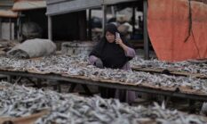 Ikan Asin Memang Mengandung Kolesterol, Ini Penjelasannya