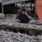 Ikan asin menjadi lauk favorit masyarakat, namun tetap perlu dikonsumsi secara bijak karena kandungan garamnya tinggi.