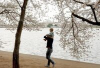 Tren pariwisata global kini bergeser, wisatawan lebih memilih pengalaman bermakna dibanding sekadar mengunjungi banyak tempat.