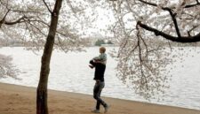 Tren pariwisata global kini bergeser, wisatawan lebih memilih pengalaman bermakna dibanding sekadar mengunjungi banyak tempat.