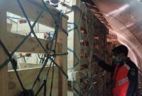 Ratusan Domba-Sapi Perah Australia Tiba di RI/Foto: Dok. Badan Karantina Indonesia