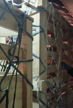 Ternak Impor Australia Tiba di Indonesia Jalani Karantina