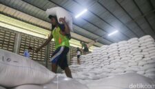 Andi Amran Sulaiman saat meninjau gudang beras Bulog di Karawang, Jawa Barat, Kamis (23/4/2026).