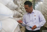 Andi Amran Sulaiman saat mengecek cadangan beras nasional di gudang Perum Bulog Karawang, Jawa Barat
