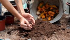 Seseorang mengolah sampah sayur menjadi pupuk kompos menggunakan ember komposter di rumah.