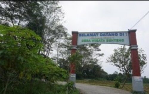 Gapura masuk Desa Wisata Benteng di Ciampea, Bogor, yang dikenal dengan Kampung Cassava.(Foto: Alfi Kholisdinuka/detikcom)