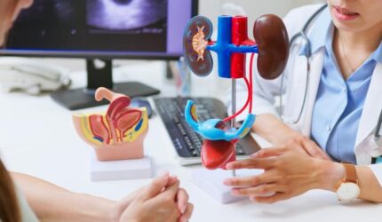 Dokter menjelaskan model ginjal kepada pasien di ruang konsultasi
