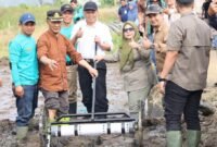Wakil Wali Kota Sungai Penuh Azhar Hamzah melakukan tanam perdana Penerapan PM-AAS bersama BRMP Jambi.(Foto : Prokopim Kota Sungai Penuh)