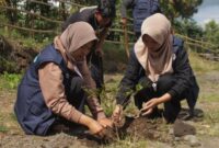 Mahasiswa KKN Universitas Negeri Padang bersama warga menanam bibit pohon pelindung di kawasan Pemandian Sedingin Salju, Desa Koto Periang, Kerinci.(Foto :Dok. KKN UNP Koto Periang)