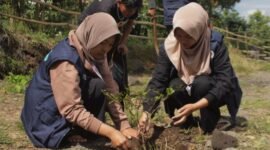 Mahasiswa KKN Universitas Negeri Padang bersama warga menanam bibit pohon pelindung di kawasan Pemandian Sedingin Salju, Desa Koto Periang, Kerinci.(Foto :Dok. KKN UNP Koto Periang)