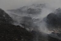 Kabut asap akibat kebakaran hutan dapat meningkatkan risiko gangguan pernapasan dan ISPA.(Foto : CNN Indonesia/Adhi Wicaksono)