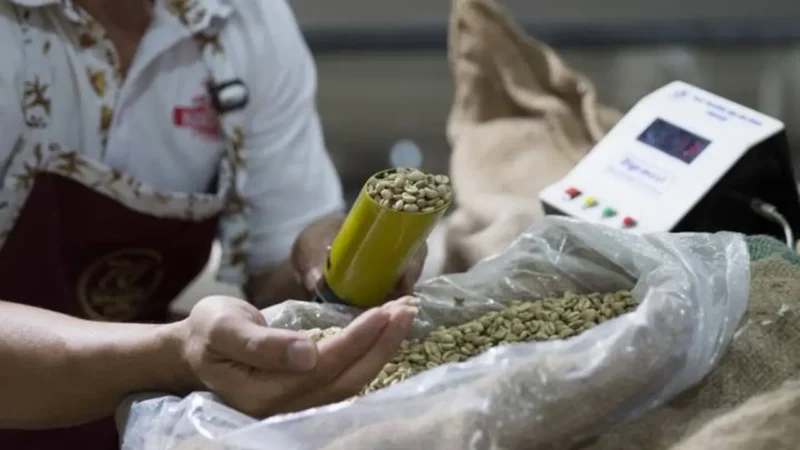 Deretan kopi termahal di dunia memiliki harga hingga puluhan juta rupiah per pon.(Foto : liputan6.com)