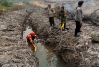 Ilustrasi kebakaran hutan dan lahan di Provinsi Jambi. Lima wilayah menerima alokasi anggaran penanganan karhutla pada 2026.  (Foto : Ist/Dok Polda Jambi)
