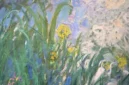 Lukisan Iris karya Claude Monet mencetak rekor sebagai karya seni termahal yang pernah terjual di lelang Prancis.(Foto : Sumber: LOU BENOIST / AFP)