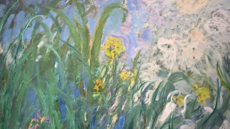 Lukisan Iris karya Claude Monet mencetak rekor sebagai karya seni termahal yang pernah terjual di lelang Prancis.(Foto : Sumber: LOU BENOIST / AFP)