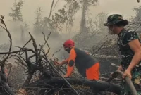 Tim gabungan melakukan pemadaman dan pendinginan untuk mencegah kebakaran hutan dan lahan meluas di Tahura Orang Kayo Hitam, Jambi.(Foto : Dok.Istimewa)