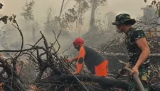 Tim gabungan melakukan pemadaman dan pendinginan untuk mencegah kebakaran hutan dan lahan meluas di Tahura Orang Kayo Hitam, Jambi.(Foto : Dok.Istimewa)