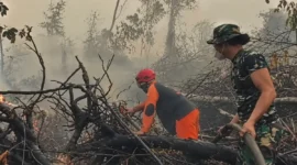 Tim gabungan melakukan pemadaman dan pendinginan untuk mencegah kebakaran hutan dan lahan meluas di Tahura Orang Kayo Hitam, Jambi.(Foto : Dok.Istimewa)