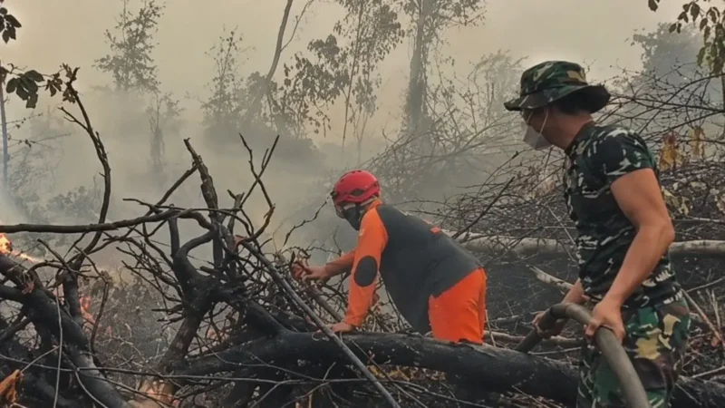 Tim gabungan melakukan pemadaman dan pendinginan untuk mencegah kebakaran hutan dan lahan meluas di Tahura Orang Kayo Hitam, Jambi.(Foto : Dok.Istimewa)