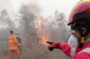 Singapura menyoroti tujuh perusahaan Indonesia terkait karhutla dan kabut asap lintas batas, sementara DPR mendesak pemerintah membuka data 52 perusahaan yang diduga terkait kebakaran hutan.(Foto : tribunnews.com/HO)