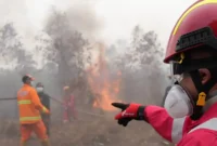 Singapura menyoroti tujuh perusahaan Indonesia terkait karhutla dan kabut asap lintas batas, sementara DPR mendesak pemerintah membuka data 52 perusahaan yang diduga terkait kebakaran hutan.(Foto : tribunnews.com/HO)