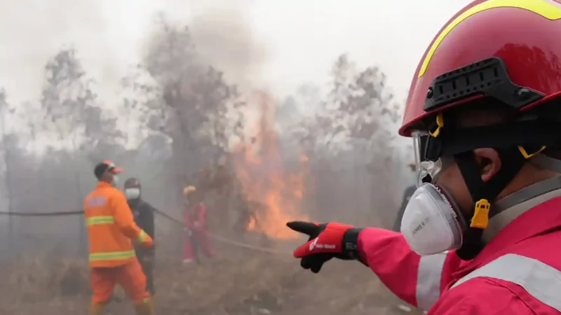 Singapura menyoroti tujuh perusahaan Indonesia terkait karhutla dan kabut asap lintas batas, sementara DPR mendesak pemerintah membuka data 52 perusahaan yang diduga terkait kebakaran hutan.(Foto : tribunnews.com/HO)