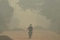 BMKG mendeteksi sebaran asap karhutla dari Kalimantan hingga wilayah Jakarta, Banten, dan Jawa Barat.(Foto : detik.com)